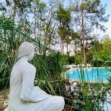 Apartment Olympos Five No 1 Antalya