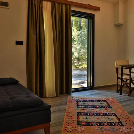 Olympos Five No 1 Lejlighed Antalya