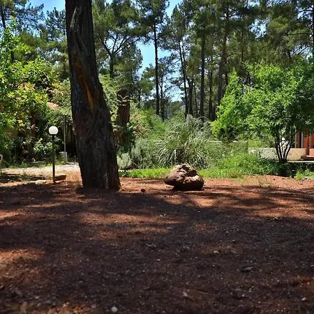 Olympos Five No 1 Apartment *