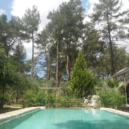 Olympos Five No 1