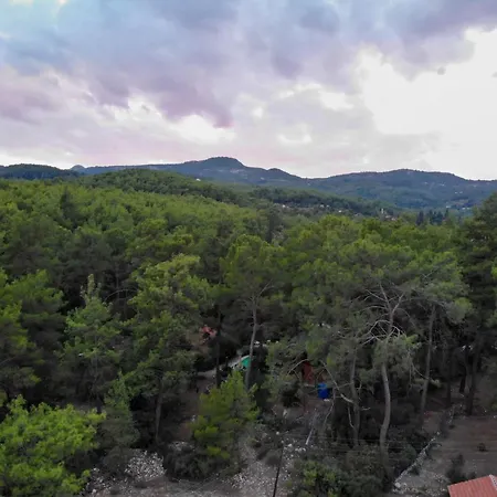 Olympos Five No 1